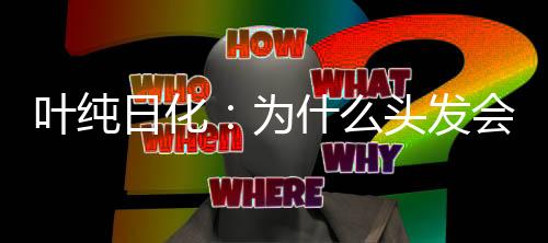 叶纯添加翼籽辣木籽提取物