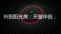 快排公司十年历程，霸屏兔 seo 的崛起与坚守
