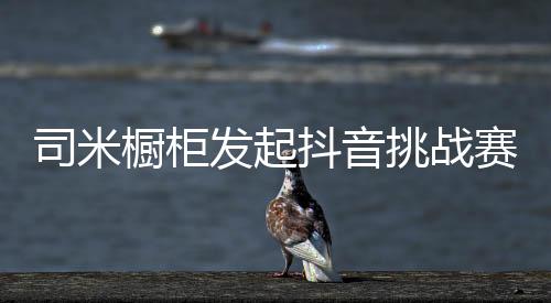 橱柜瞄准这一强大流量入口