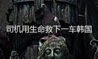 快排公司十年历程，霸屏兔 seo 的崛起与坚守
