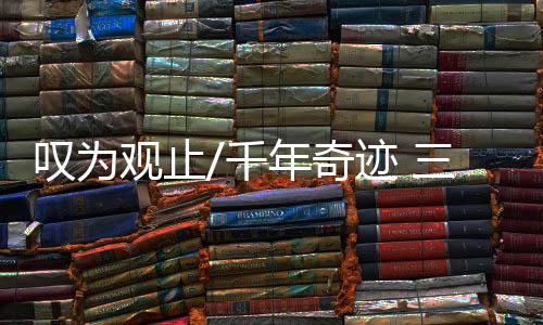 千年奇迹共同构成一个卡槽