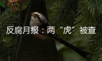 反腐月报：两“虎”被查，三“虎”受处分