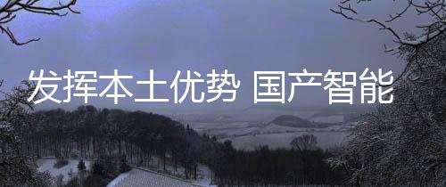 发挥自媒体的本土发散推广