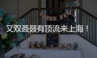 快排公司十年历程，霸屏兔 seo 的崛起与坚守