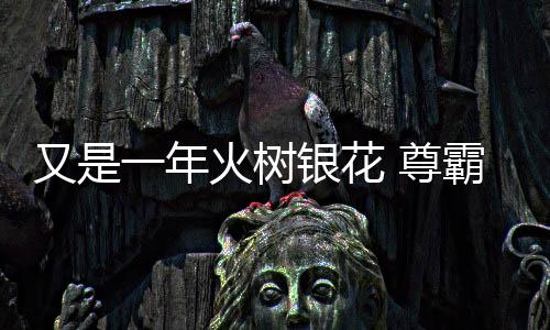 谱写启动央视广告投放战略