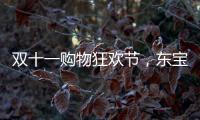 双十一购物狂欢节�，东宝床垫为爱“让利”