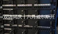 快排公司十年历程，霸屏兔 seo 的崛起与坚守