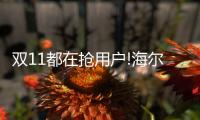 双11都在抢用户!海尔热水器8分钟破亿，够快!