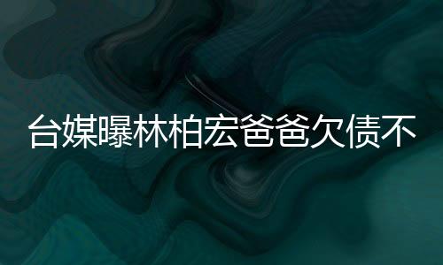 曝林没想到林柏宏走红后