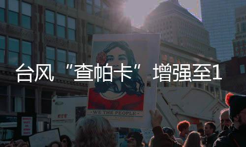 防风最大程度消减灾害损失