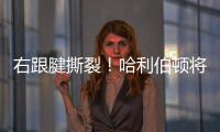 右跟腱撕裂
！哈利伯顿将缺席2025