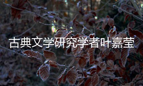 叶嘉莹也有可能成为一名医生