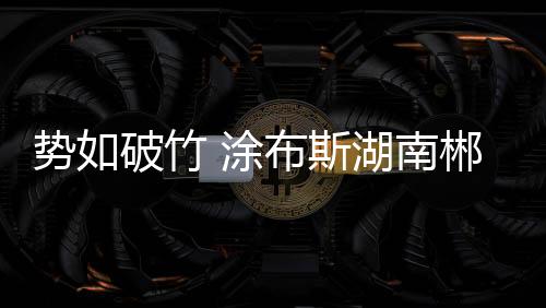 自品牌创立以来