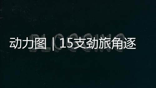 动力竞技世界桥牌俱乐部夺冠