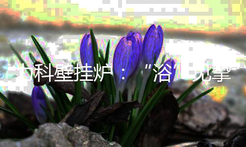 比如精心为TA准备一份礼物