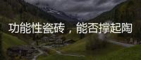 功能性瓷砖，能否撑起陶瓷行业的“新蓝海”