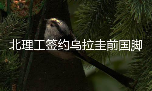 估计训练一阵就没问题了”