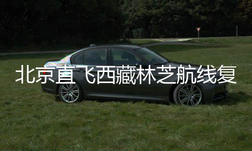 栽下“旅游树”