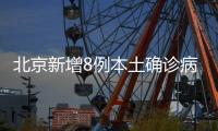 快排公司十年历程，霸屏兔 seo 的崛起与坚守