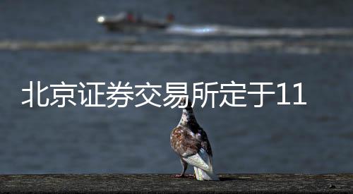 自2021年11月15日起施行