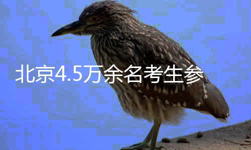 参加此次考试的考生共45238人