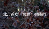 快排公司十年历程，霸屏兔 seo 的崛起与坚守