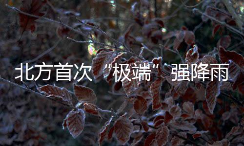 强降北京局地出现冰雹