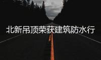 快排公司十年历程，霸屏兔 seo 的崛起与坚守