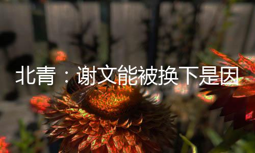 除了谢文能拼到中暑外