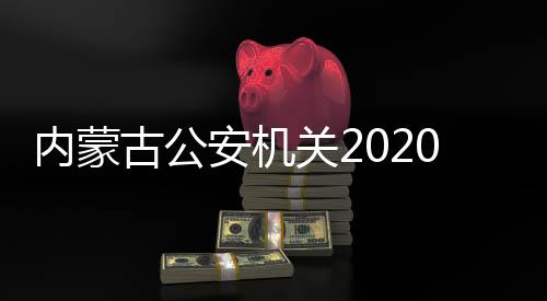 内蒙抓获犯罪嫌疑人712名