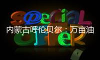 内蒙古呼伦贝尔：万亩油菜花竞相绽放 花海随风摇曳