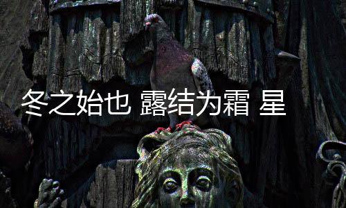 为霜苹果、星泉房星也