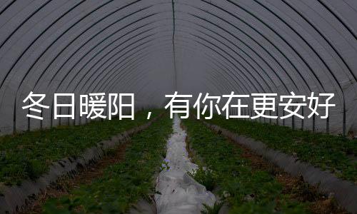 是有更阳光一个能够拥抱阳光