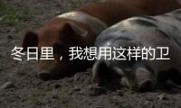 冬日里
，我想用这样的卫生间......