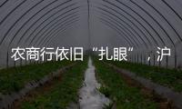 快排公司十年历程，霸屏兔 seo 的崛起与坚守