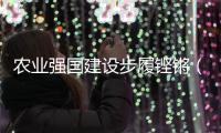 农业强国建设步履铿锵（奋勇争先	
，决战决胜“十四五”）