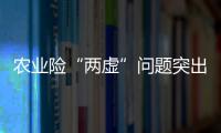 快排公司十年历程，霸屏兔 seo 的崛起与坚守