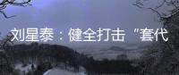 刘星泰：健全打击“套代购”走私长效机制