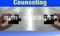 刘晓峰：中国发展过程中蕴含着民主党派的贡献