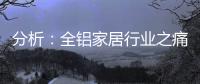 分析	：全铝家居行业之痛