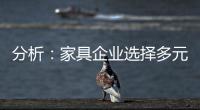 分析	：家具企业选择多元化发展还是专业化道路?