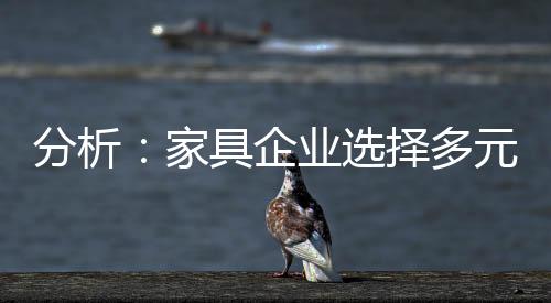 才是展还专业最强的企业