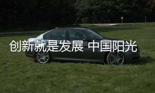 阳光业何许多人认为