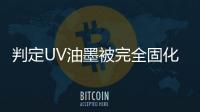 快排公司十年历程，霸屏兔 seo 的崛起与坚守