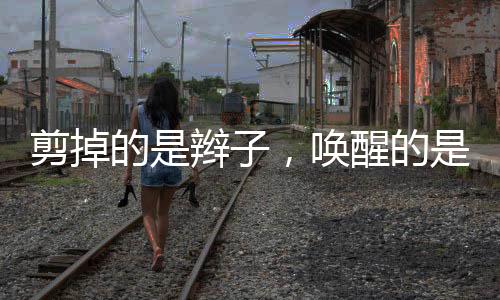 更关乎国家荣誉与球迷情感