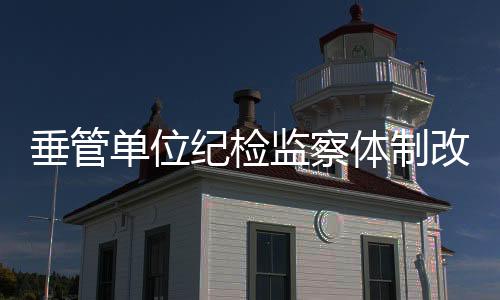 纪检监察督促举一反三