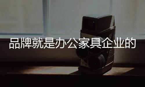 产品	、品牌所谓品牌