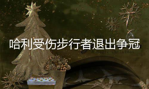 他可能会缺席整个2025-26赛季