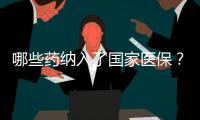 哪些药纳入了国家医保？用它随时查→