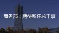 快排公司十年历程，霸屏兔 seo 的崛起与坚守